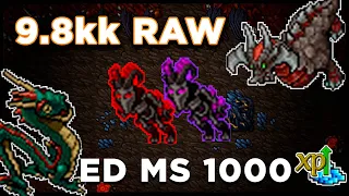 DUO ED/MS 1000 - 9.8kk RAW/1.6kk Profit - Dragons Nimmersatt's