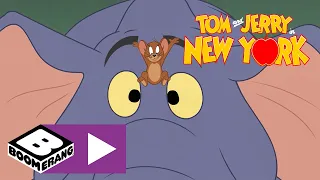 Tom and Jerry in New York | Museum Peace | Boomerang UK