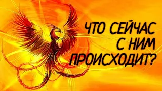 ПОСЛЕДНИЕ НОВОСТИ С МЕСТА СОБЫТИЙ!)))) …Таро расклад|Таро исцеление|