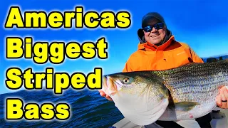 Fishing for Americas Biggest Striped Bass on the Chesapeake Bay