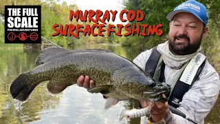 Topwater Murray Cod Fishing | Surface Luring The Ovens River | The Full Scale