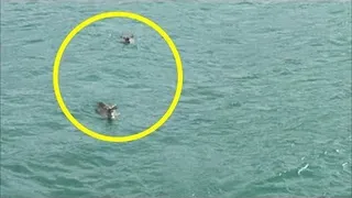 The man took a boat out to sea. He almost fainted when he saw THIS!