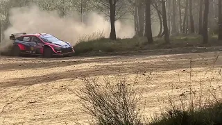 WRC 2022 Portugal Góis 2 day 1