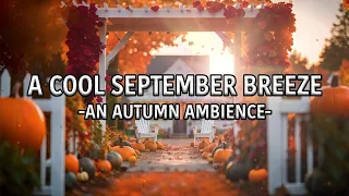 A Cool Autumn Breeze ⎜Autumn Ambience ⎜4 hours of relaxation ⎜Gentle falling leaves