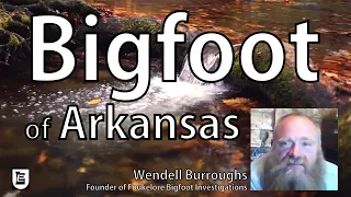 Bigfoot of Arkansas