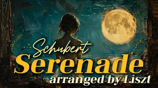 슈베르트, 세레나데 (리스트 편곡) 💖🎹🌙 Schubert, Serenade arranged by Liszt