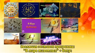 Эволюция заставок программы "В мире животных" + бонус