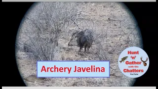 JAVELINA HUNT AZ - Making Green Chili - Archery - Walk and Stalk / Glassing - Bow/Arrow - Desert Pig