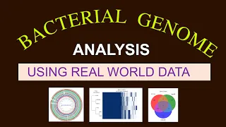 Whole Genome Sequence Analysis | Bacterial Genome Analysis | Bioinformatics for Beginners