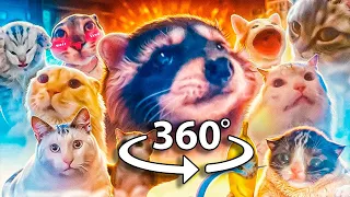 360° VR Pedro Pedro Pedro but Meme Cats Sing It