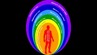ЭНЕРГЕТИЧЕСКИЕ ТЕЛА ЧЕЛОВЕКА