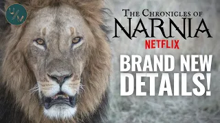 New Narnia Movies On Netflix! What To Expect & How To Improve What's Gone Before!