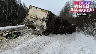 Зимние Будни Торопыг и Водятлов!