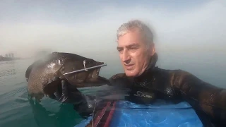 Spearfishing Israel   דייג בצלילה חופשית   Eric Trevgoda