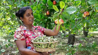 You also use cashews to make food like this and it is very delicious. .village kitchen recipe