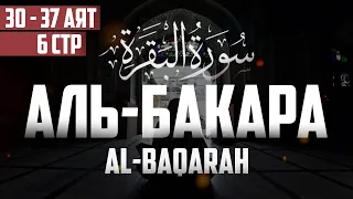 Cура аль Бакара 30 - 37 аят Абу Хабиба | Sourate al Baqarah | سورة البقرة