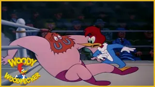 Woody Woodpecker | Wrestling Wrecks | Full Episodes