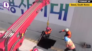 South Korean Sidewalk Swallows Couple