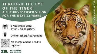 Through the eye of the tiger: A future-focused vision for the next 12 years