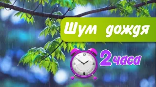 Успокаивающие звуки дождя без грома | Шум дождя для сна | Звуки природы | Rain sounds Nature sounds