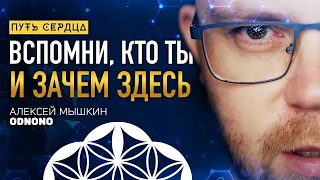 Искреннее служение как цель земной жизни