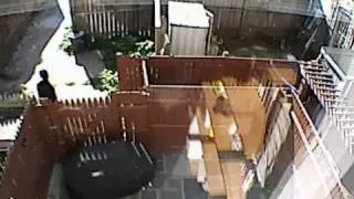 Person of Interest in Backyard Surveillance Video (10th & V Streets, NW)