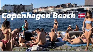 Strandgade Harbour Beach Copenhagen 4K,Travel Denmark Beach Walking Tour #summer #2023
