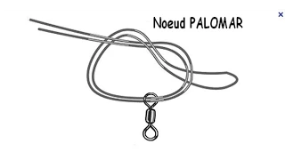 NOEUD PALOMAR