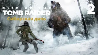 Прохождение Rise of the Tomb Raider: Сибирская дичь. Часть 2