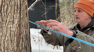 DIY Maple Syrup - Running Lines to Collect Maple Sap - Vermont Evaporator Company