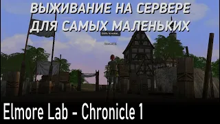 Как ВЫЖИТЬ на C1? Elmore Lab - Lineage 2