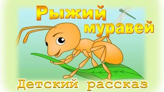 📗 "Рыжий муравей" ~ СЛАЙДЫ РАССКАЗ Христианский для ДЕТЕЙ 👧☀️