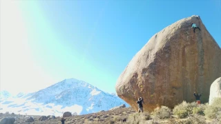 Nina Williams on Ambrosia (V11)