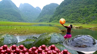 😱😱The girl discovered a giant clam, which bore the most charming pearls and was incredibly precious