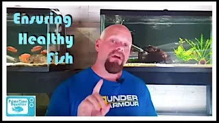 How to Quarantine Fish (A Microbiology Professor's Perspective)