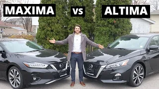 Nissan Maxima vs Nissan Altima | Which one should you buy? |