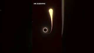 When a Star meets a Black Hole!