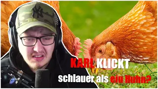 Ist Karl SCHLAUER als ein HUHN??? I KARL KLICKT