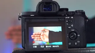 Autofocus Test: Sony Alpha 7 II E-mount mirrorless camera
