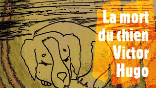 La mort du chien, poème de Victor HUGO par la Fileuse de Mots