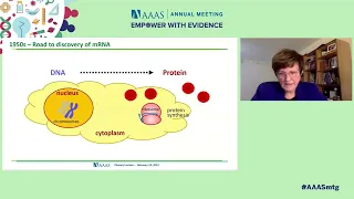 Scientist Stories: Katalin Karikó, Pioneering mRNA Vaccines and Therapies