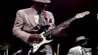 Hubert Sumlin - Come On In My House