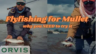 Mullet on the Fly : Flyfishing for Mullet : method, kit and location