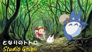 Best Ghibli Piano 🌿 Beautiful Timeless Piano Pieces From Ghibli Movies || My Neighbor Totoro ...