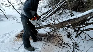 Заготовка дров 2021/2022 STIHL MS 260