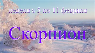 c 5 по 11 февраля.СКОРПИОН ♏️