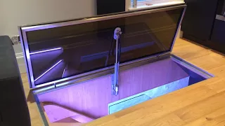 Motorised glass door with voice control