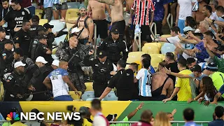 Fans brawl and clash with police before Brazil-Argentina World Cup qualifier