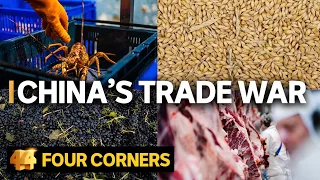 Why is China punishing Australia? The human impact of the trade war | Four Corners