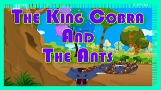 The King Cobra And The Ants - Animated Short Story For Kids